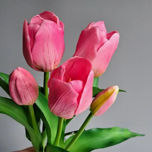 Tulpen Donkerroze Korte Steel