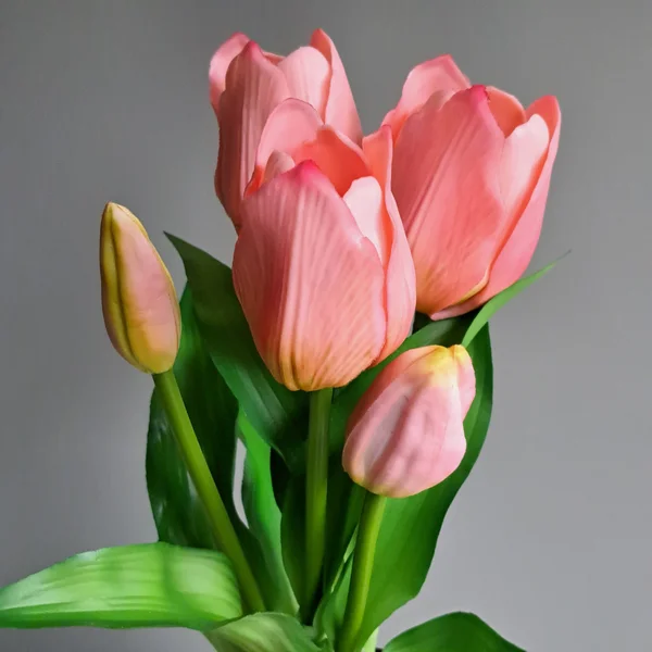 Tulpen Licht Roze Korte Steel