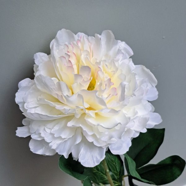 Zijden Bloem Pioenroos Wit 80 cm - Afbeelding 3