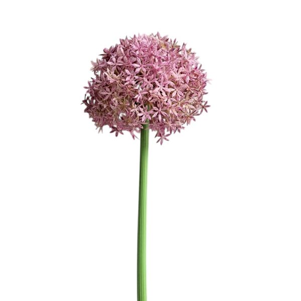Zijden Bloem Allium Paars 73 cm