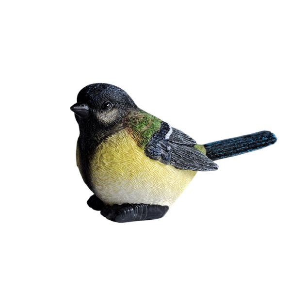Koolmeesje