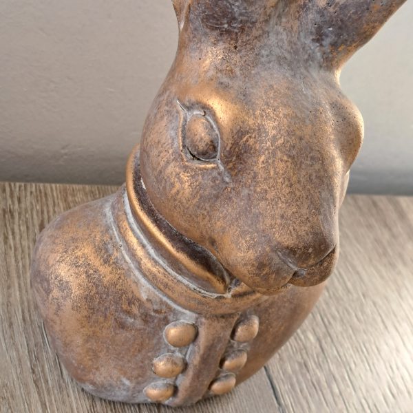 Beeld Haas Jewel Jasje - Afbeelding 4
