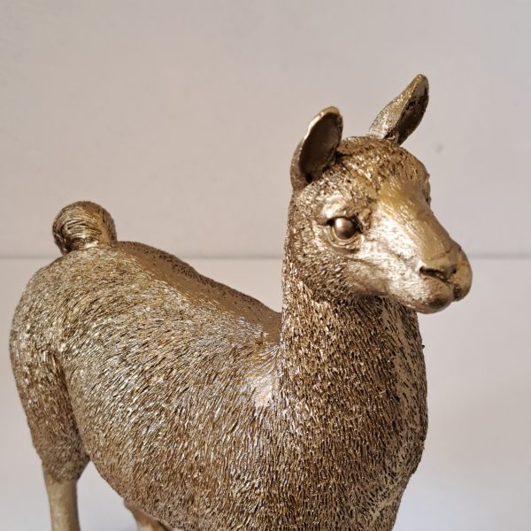 Beeld Lama Goud - Afbeelding 3