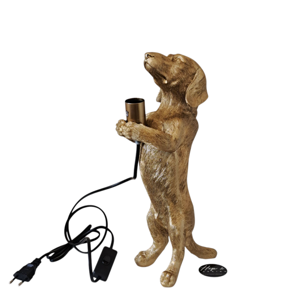 Lamp Teckel Goud