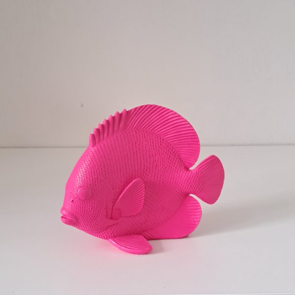 Beeld Platvis Roze - Afbeelding 2