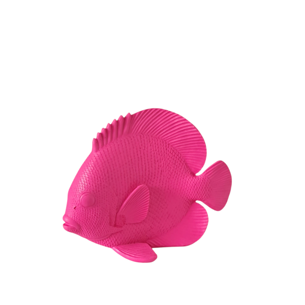 Beeld Platvis Roze