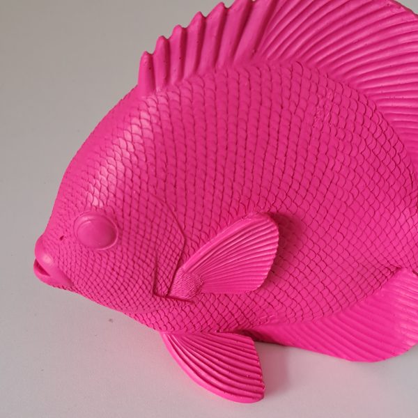 Beeld Platvis Roze - Afbeelding 3