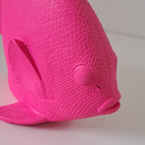 Beeld Platvis Roze - Afbeelding 5